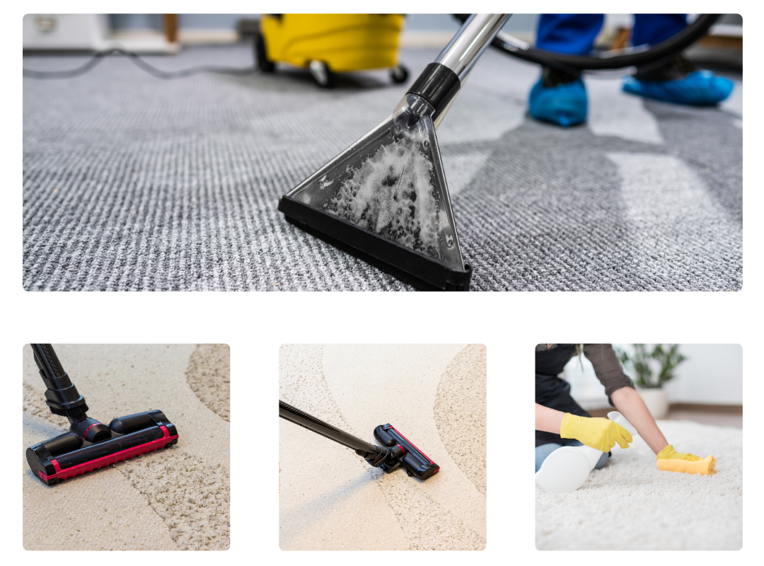 Professional carpet cleaning service in Wollongong home