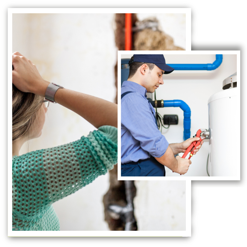 Water Damage Restoration 5 Water Damage Restoration Wollongong