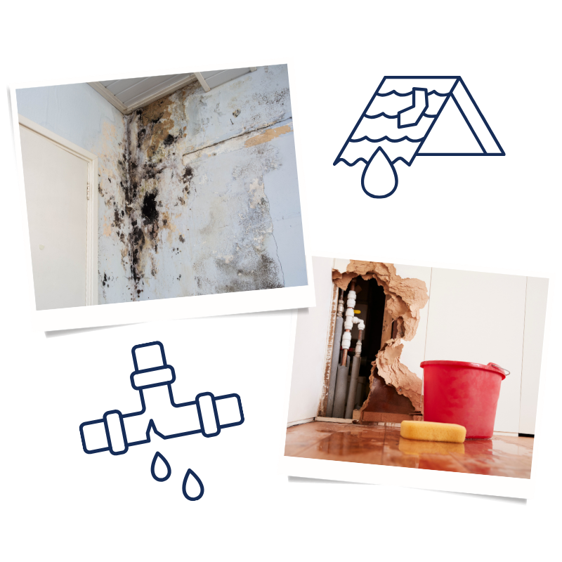 Water Damage Restoration 3 Water Damage Restoration Wollongong