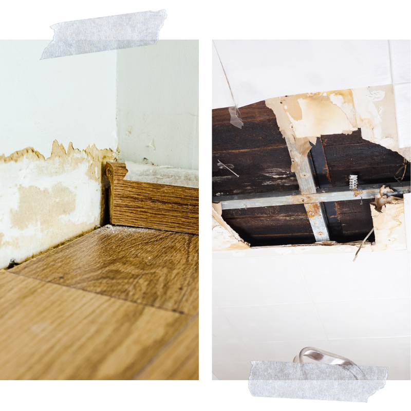 Water Damage Restoration 2