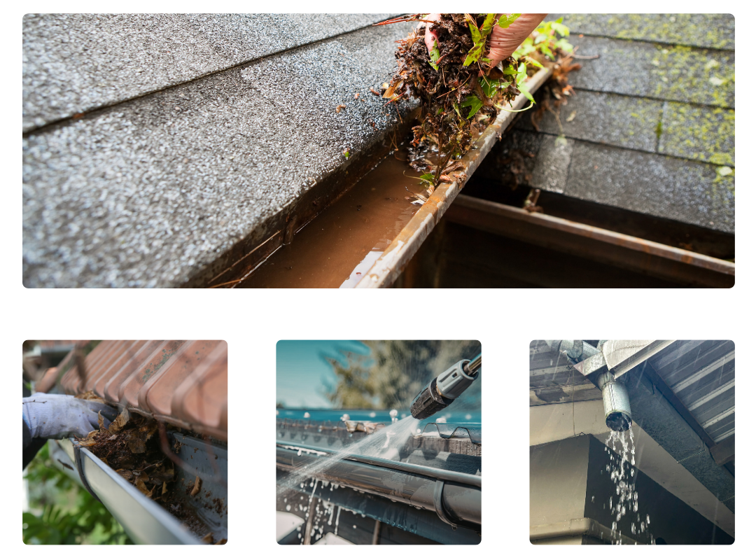 Professional gutter cleaning service Wollongong Illawarra