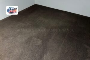 how much does carpet cleaning cost