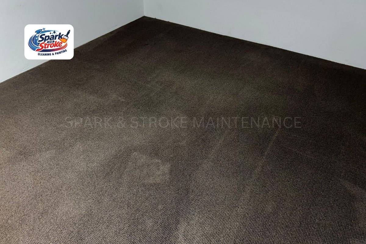 how much does carpet cleaning cost